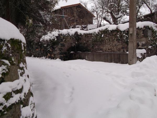 Sortie sous la neige